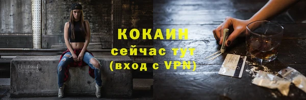 гашик Вязники