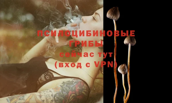 каннабис Сясьстрой