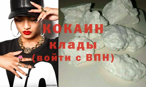 гашик Вязники