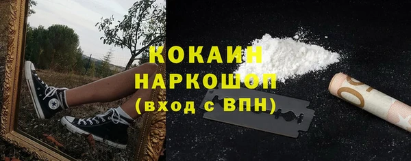 СК Ивангород